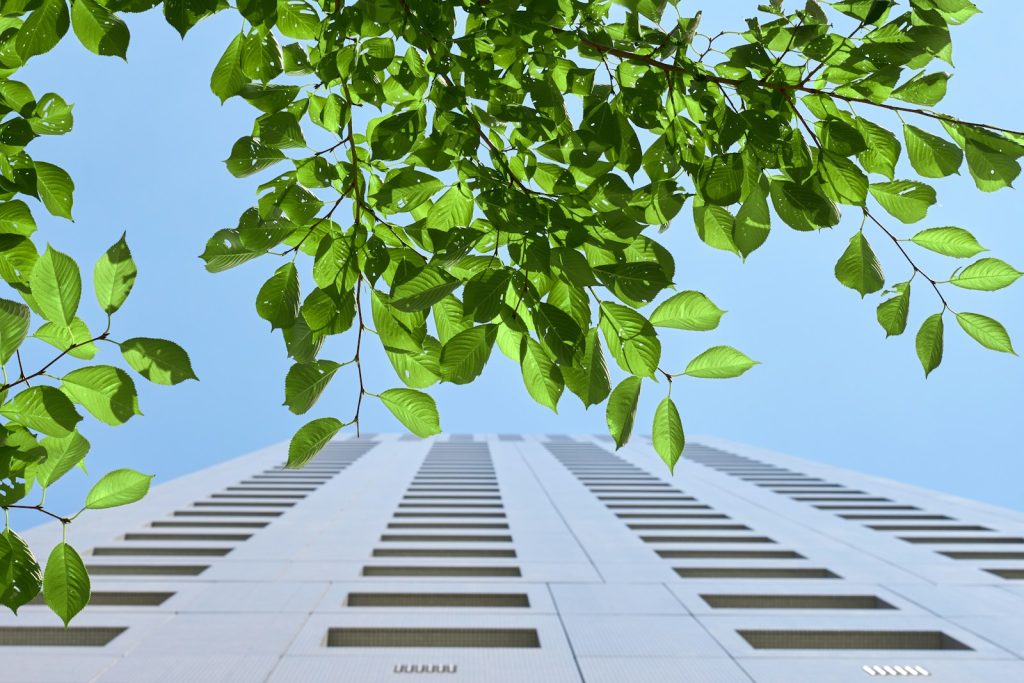 A tall building with lots of green leaves on it